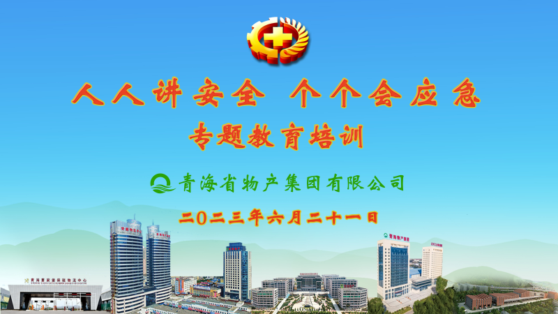提高安全管理水平 落實(shí)全員安全責(zé)任——集團(tuán)安委會(huì)舉辦2023年“人人講安全，個(gè)個(gè)會(huì)應(yīng)急”專題教育培訓(xùn)