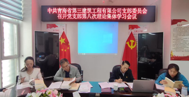 三建公司黨支部召開第八次理論集體學(xué)習(xí)會 ----集團黨委委員、紀委書記講主題教育專題黨課